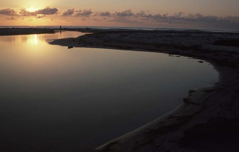 RWT 0074 080-19 Australia E Cst Taz Sunrise.jpg